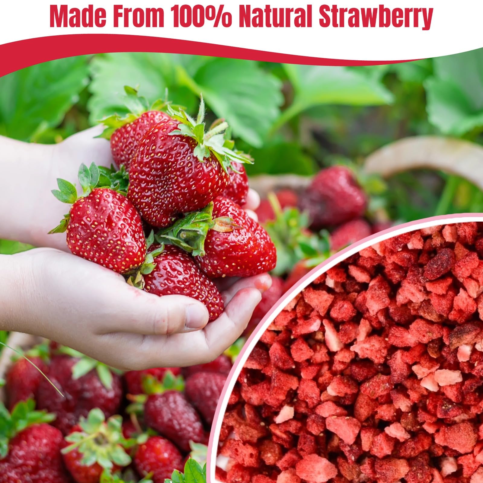 Premium Freeze Dried Strawberries - 8.82oz (250g) 100% Natural, Gluten-Free, Allergen-Free, Non-GMO Dried Strawberry Pieces for Snacks, Baking, Smoothies, Yogurt Topping & Camping Food - Sweet & Crunchy Strawberry Flakes