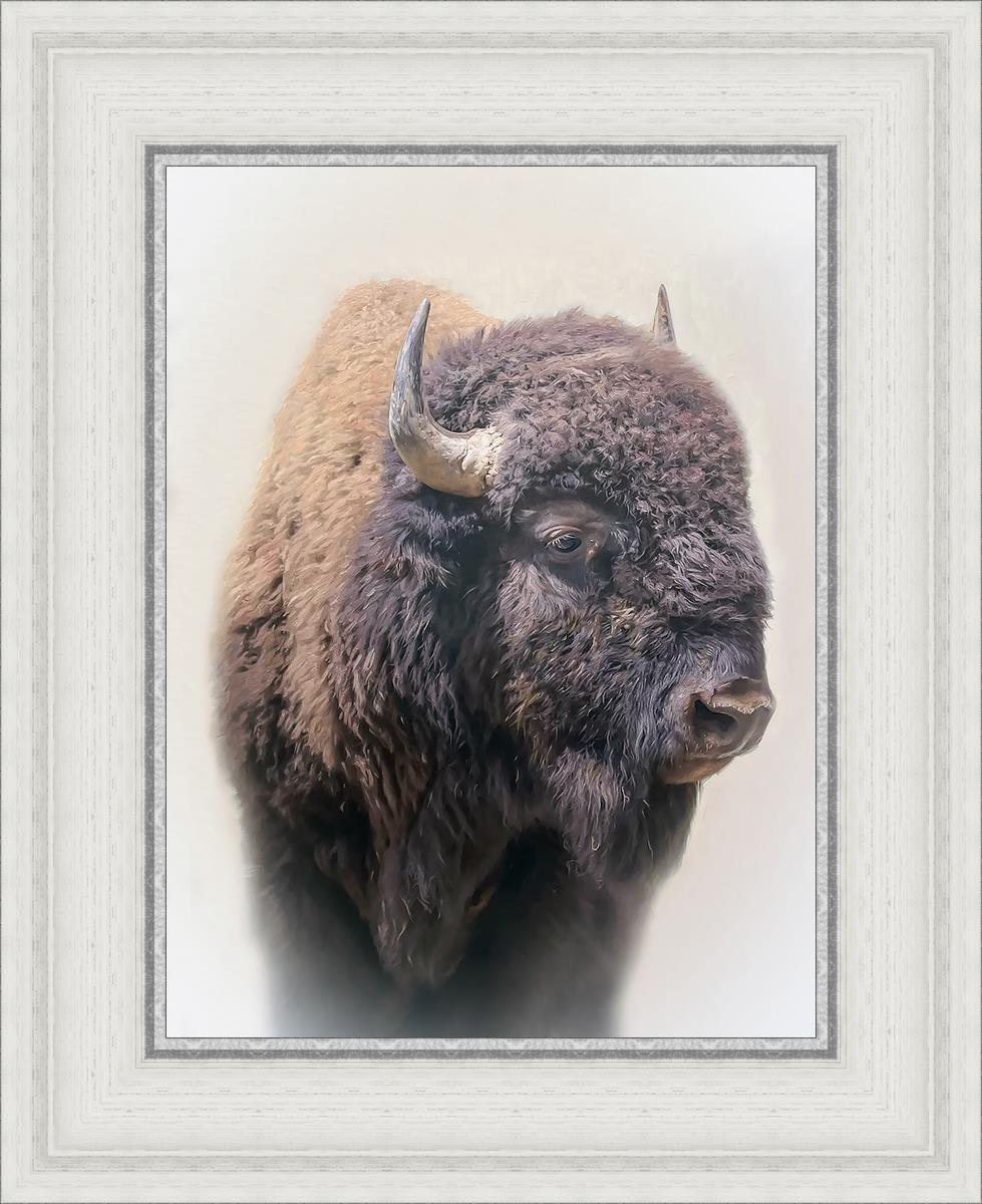 Bison By Matthew Grant | Premium Bison Meat & Jerky | High-Protein Snacks for Camping, Hiking & Outdoor Adventures