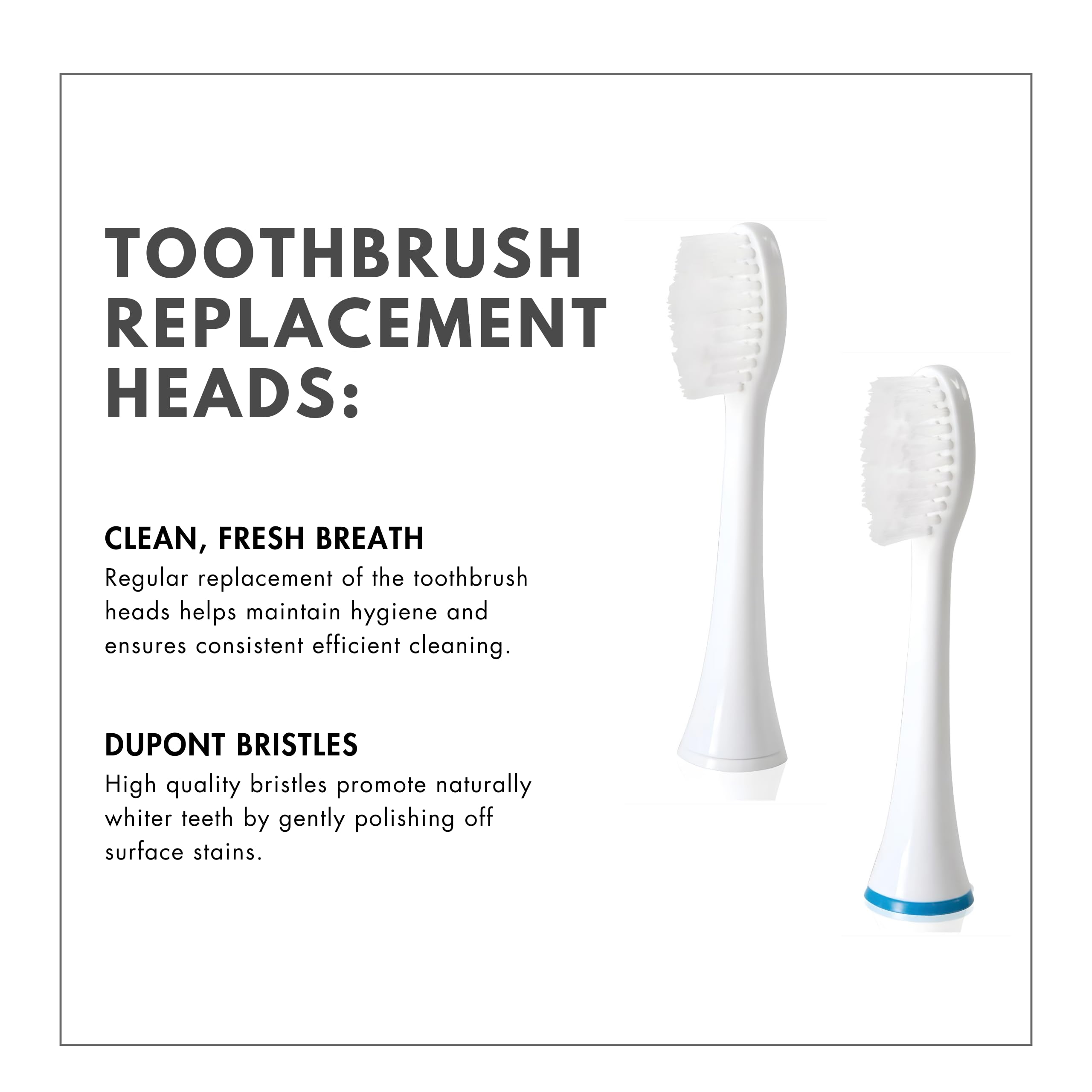 ToiletTree Poseidon Replacement Brush Heads (4 Pack) - Compatible with Poseidon Rechargeable Sonic Toothbrush - Soft Bristles for Gentle Cleaning - Perfect for Travel & Family Oral Care