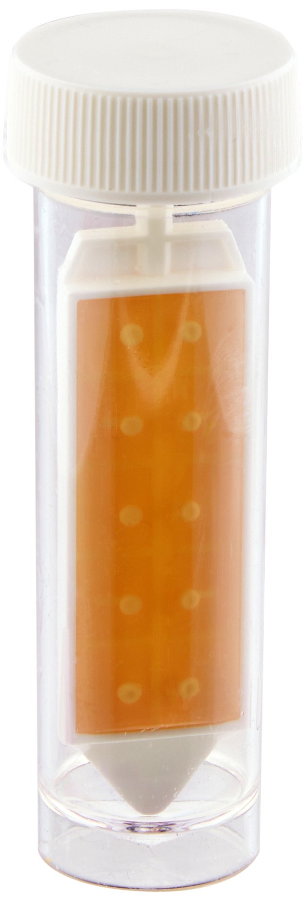 Hach 2610810 Paddle Tester for Total Aerobic Bacteria, Yeast and Mold Detection - 10 Pack | Water Quality Testing for Pools, Drinking Water & Food Safety