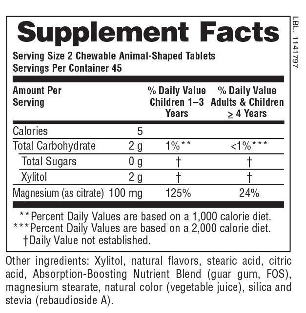 Nature's Plus Animal Parade Mag Kidz Sugar-Free Natural Cherry Flavor - 90 Chewable Tablets | Kids Multivitamin Supplement for Immune Support & Growth | Perfect for Picky Eaters & Daily Nutrition