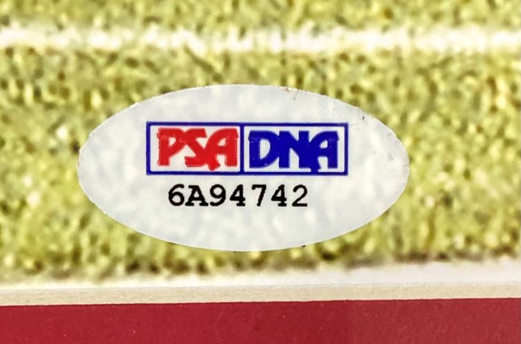 Authentic Carli Lloyd Signed 16x20 Framed USA World Cup Goal Photo with PSA/DNA COA - Perfect for Soccer Memorabilia Collectors & Sports Fans Decor