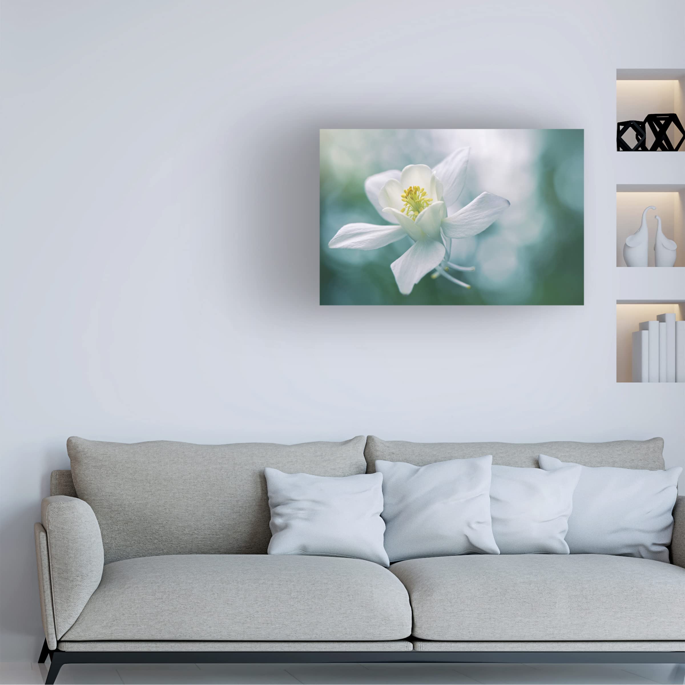 Trademark Fine Art 'Purity' Canvas Wall Art by Jacky Parker - Elegant Home Decor for Living Room, Bedroom & Office