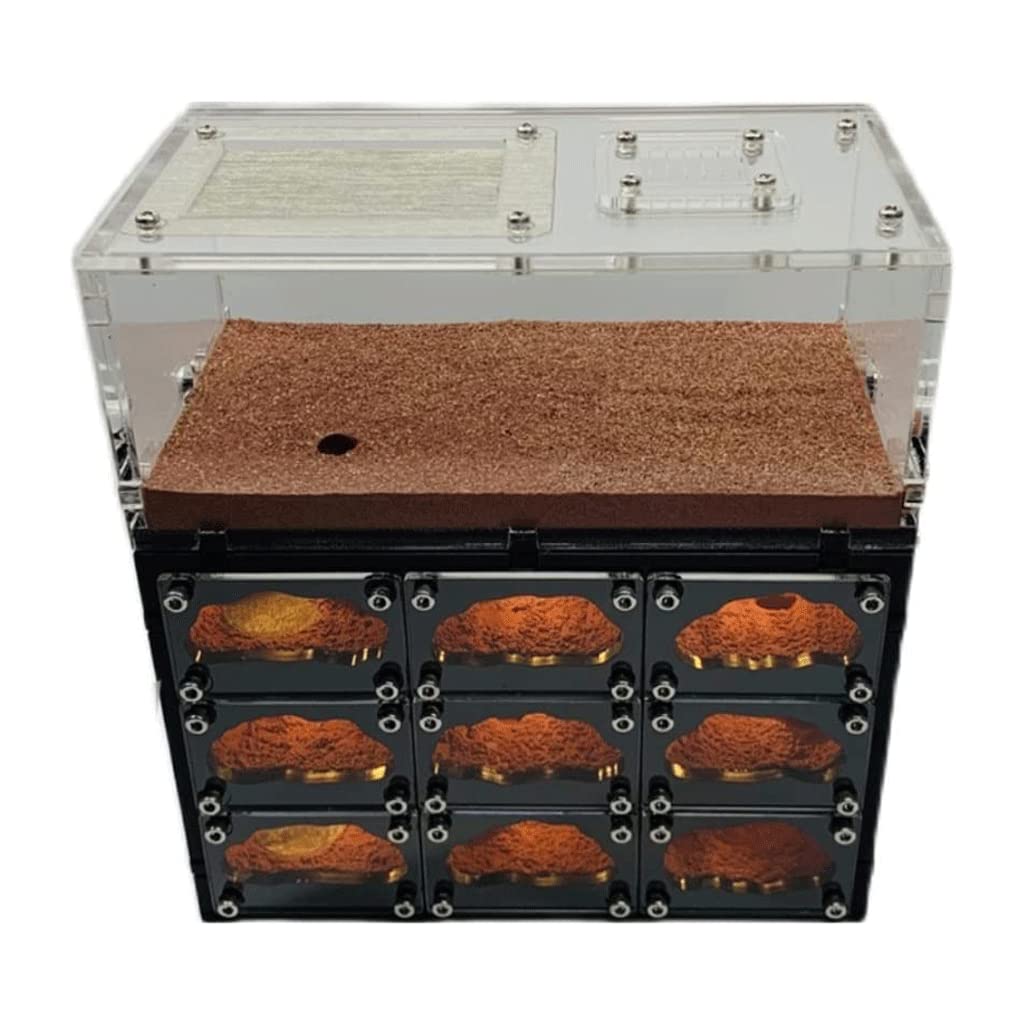 EYPKPL Classic Ant Farm Concrete Ant Nest with USB Charging Cable - Educational Science Kit for Kids & Adults - Perfect for Classroom STEM Learning & Home Observation
