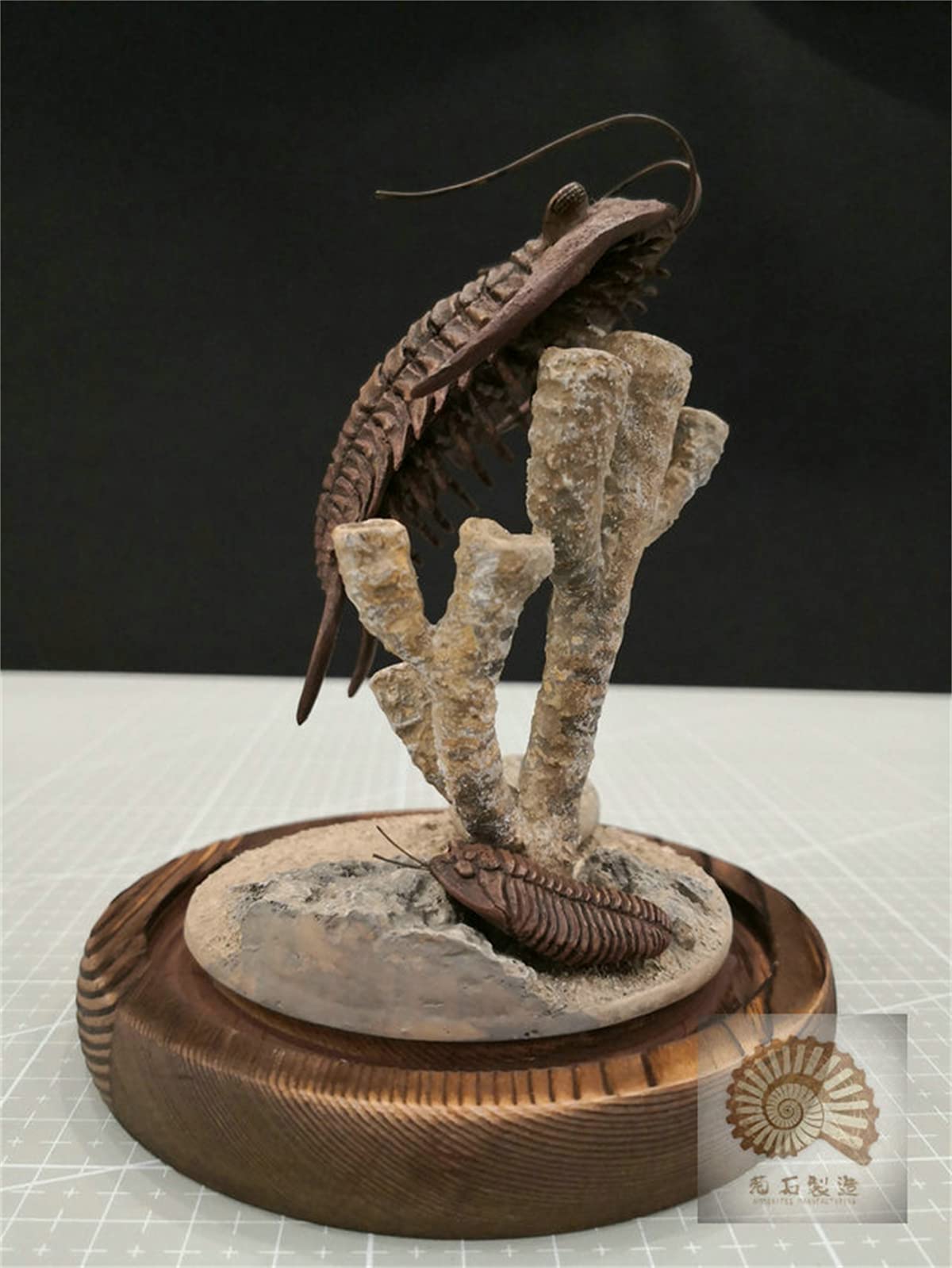 VWUVWU 1:1 Scale Trilobite Fossil Model - Realistic Arthropod Skeleton Figure, Resin Collector's Decor & Unique Gift for Adults - Perfect for Paleontology Enthusiasts, Home Office Display & Science Education