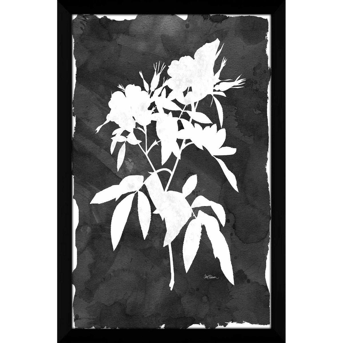 Black Botanical I by Carol Robinson - Premium Acrylic Wall Art Print - Modern Home & Office Decor for Living Room, Bedroom, or Gallery Display