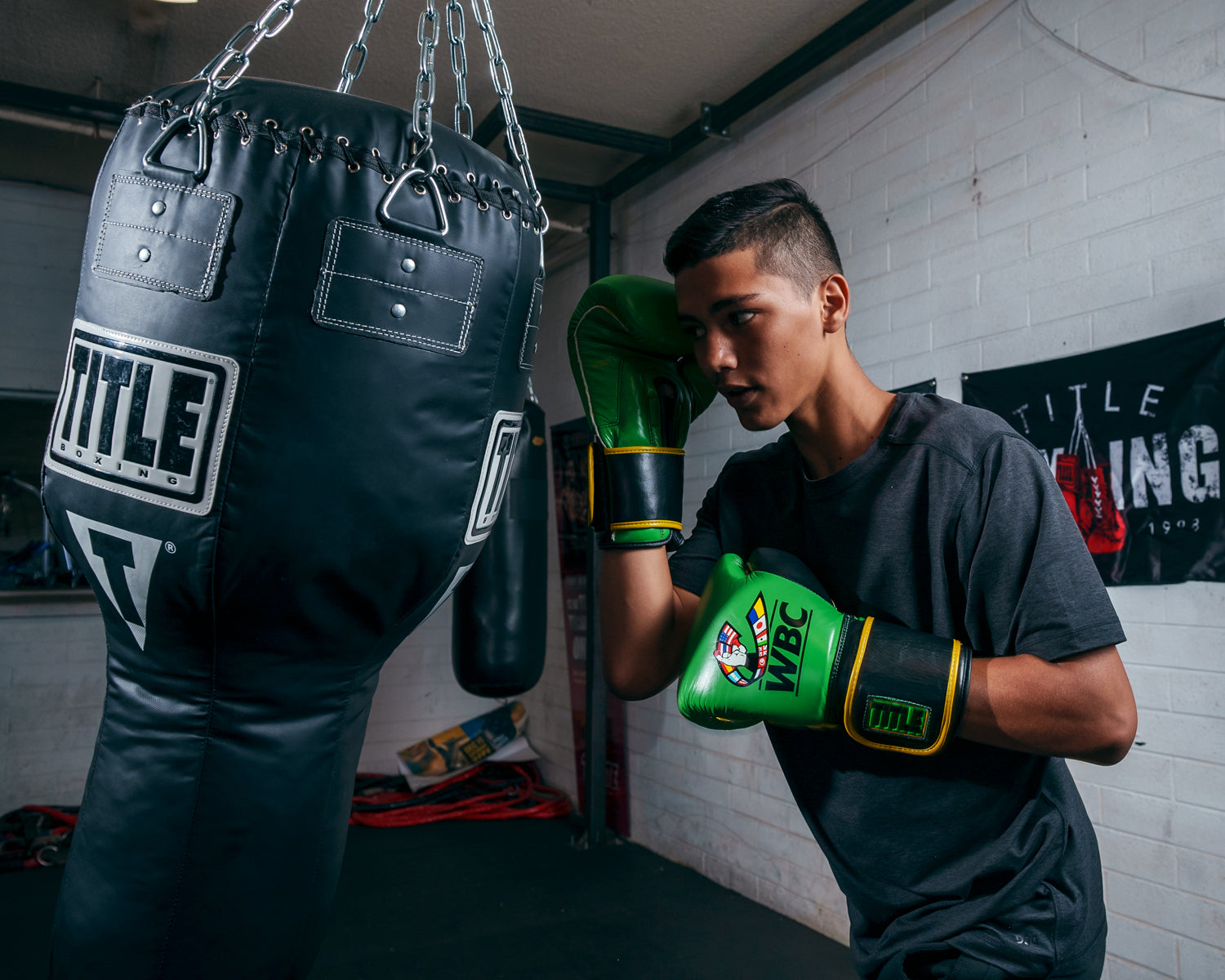 WBC by TITLE Boxing Training Gloves - Professional Boxing & MMA Sparring Gear for Fitness Training & Heavy Bag Workouts