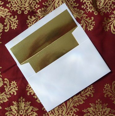 Doggone Christmas Greeting Cards - Box of 15 Festive Holiday Cards with 16 Gold Foil Envelopes | Perfect for Christmas Wishes, Holiday Parties & Family Gatherings