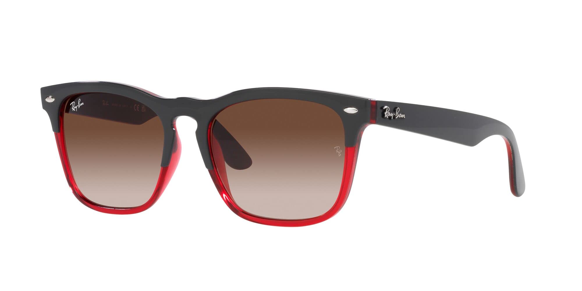 Ray-Ban RB4487 Steve Square Sunglasses for Men & Women - Classic UV Protection Polarized Lenses - Perfect for Driving, Beach, and Outdoor Activities