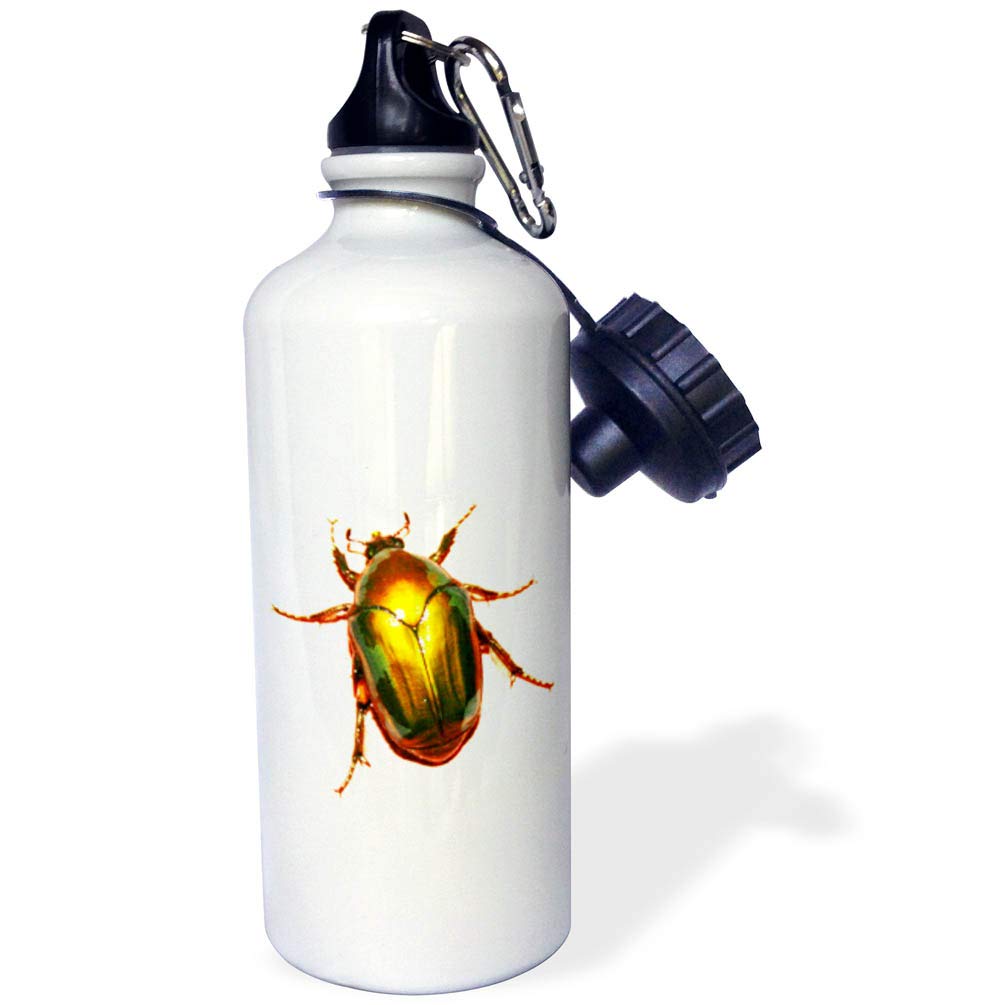 3D Rose Golden Scarab Beetle Sports Water Bottle - 21 oz Insulated Stainless Steel Water Bottle for Gym, Hiking & Outdoor Activities - BPA Free White Water Bottle with Leakproof Lid