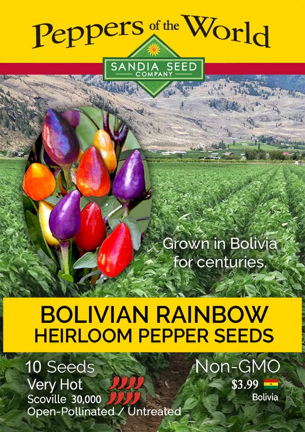 Bolivian Rainbow Heirloom Pepper Seeds - Pack of 10 - Colorful Ornamental Hot Chili Plants for Home Garden, Landscaping & Culinary Use - Perfect for Containers, Borders and Spicy Cooking