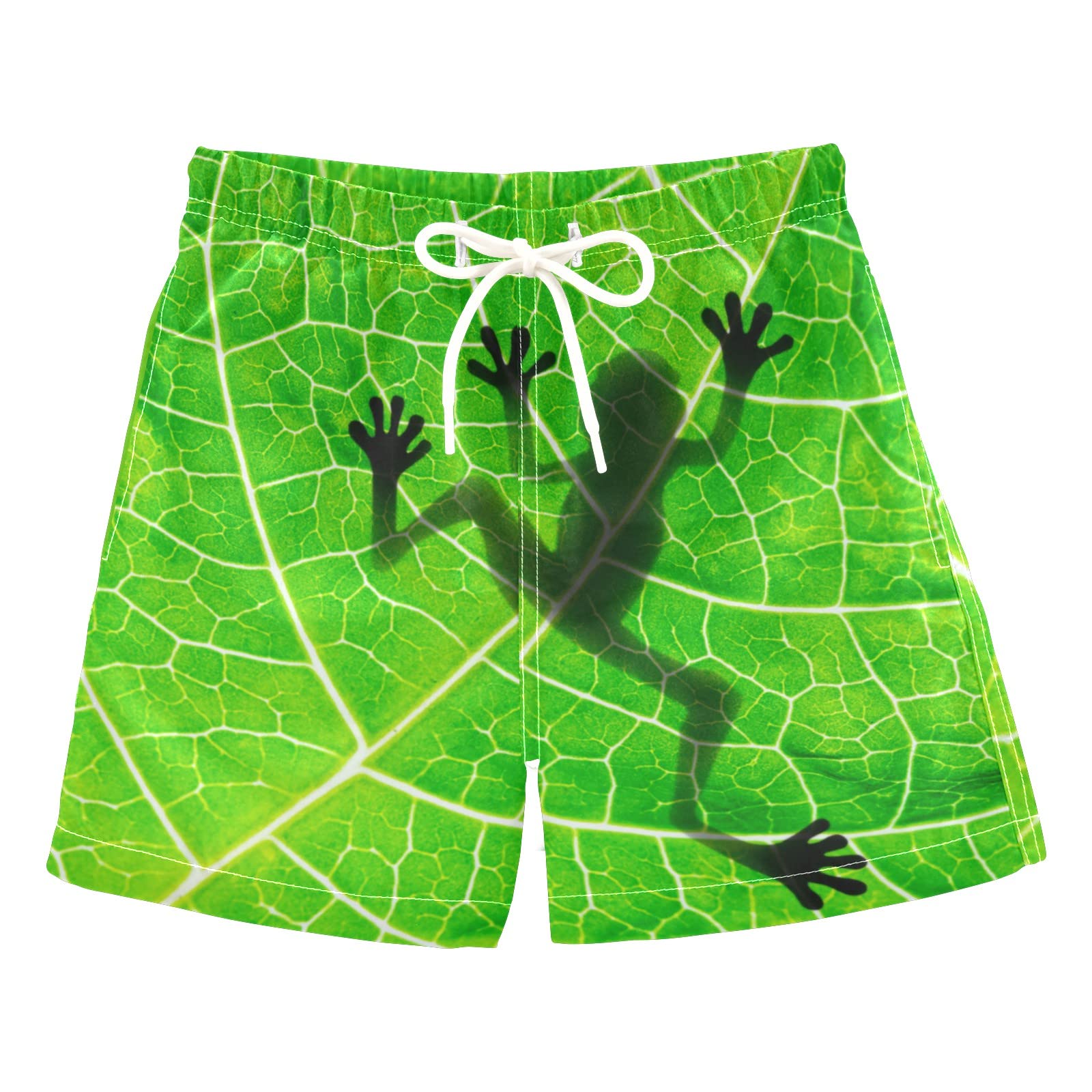 **Boys Swim Trunks with Dragon Print - Quick Dry Swim Shorts for Toddler & Teens - UPF 50+ Sun Protection - Perfect for Pool, Beach & Water Play**