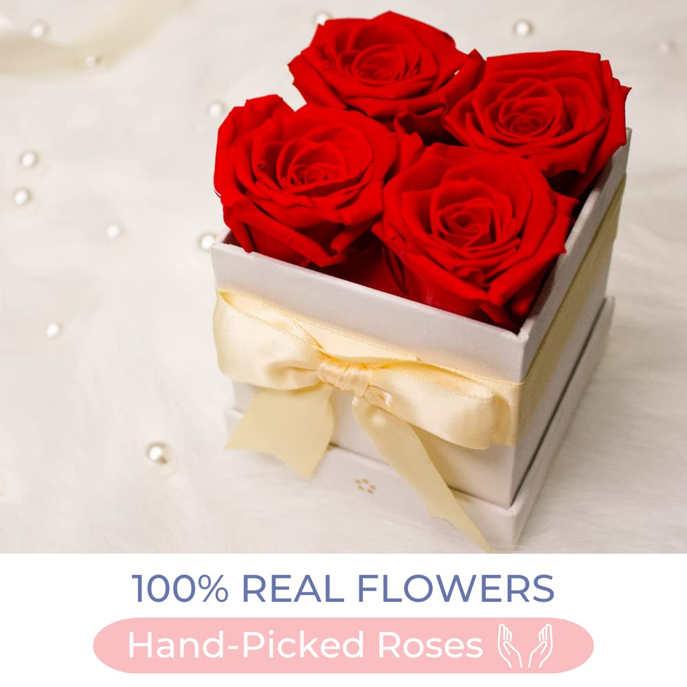 AROMEO Premium Preserved Red Roses Gift Set - Long Lasting Fresh Flowers for Valentine's Day, Mother's Day & Anniversary - Perfect for Romantic Surprises, Home Decor & Special Occasions