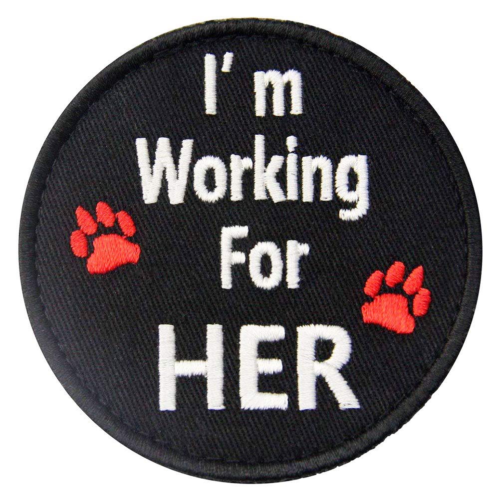 Service Dog Embroidered Patch - Hook & Loop Embroidered Emblem for Tactical Vests, Collars & Harnesses | Durable Working Dog Identification Badge for Training, Public Access & Service Animal Recognition