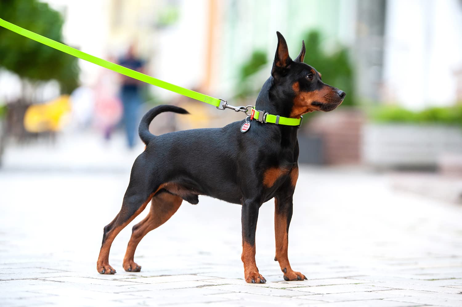 WAUDOG Adjustable Waterproof Dog Collar - Soft Durable Pet Collar for Dogs & Puppies - Comfortable Strong Training Collar for Small Medium Large Dogs - Perfect for Walking Hiking Swimming Outdoor Activities