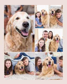 6 Photos Custom Blanket