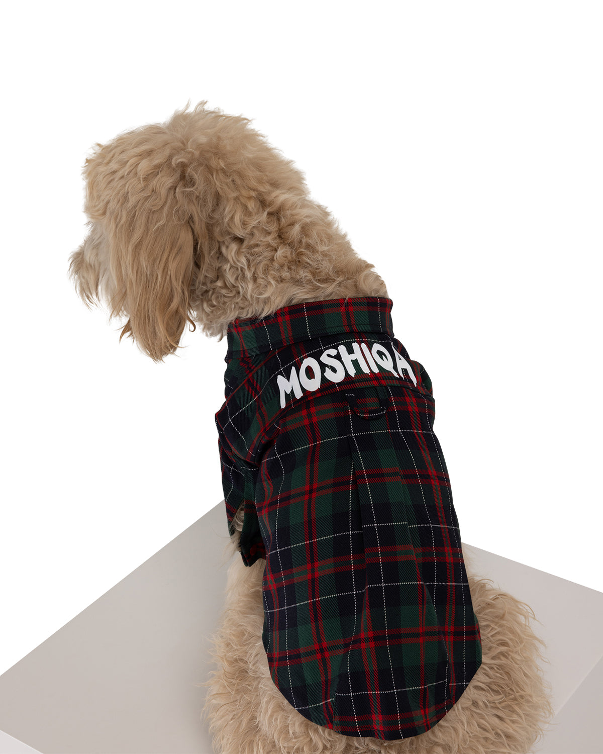 Stylish Brad Dog Shirt for Pets - Comfortable & Trendy Dog Clothes for Small Medium Large Breeds - Perfect for Daily Walks, Photo Shoots & Special Occasions