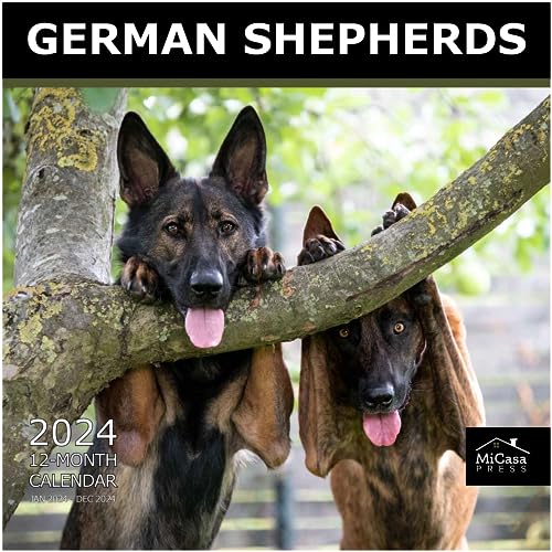 14 - German Shepherds