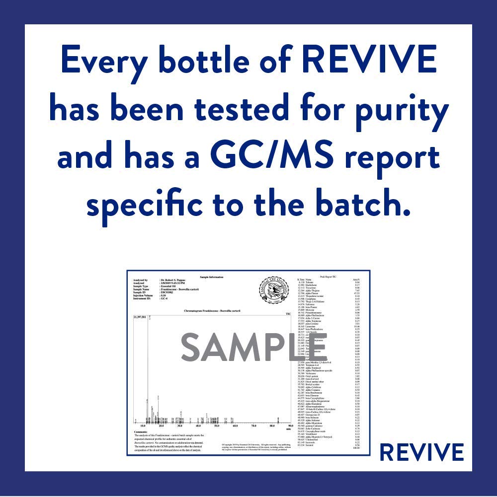 Revive Essential Oils Sore No More 100% Pure Therapeutic Grade Essential Oil Blend - Aromatherapy for Pain Relief, Stress Relief & Relaxation | Perfect for Diffusers, Humidifiers, Massage, Skin & Hair Care | Use for Home Spa, Yoga Sessions & Bedtime Relaxation