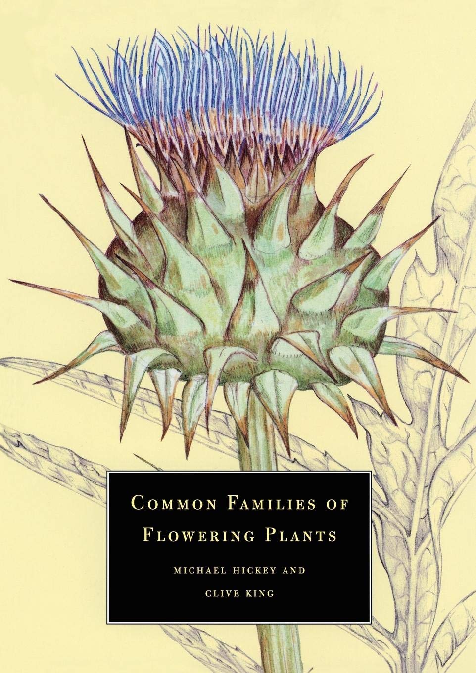Common Families of Flowering Plants | Types & Identification Guide for Gardeners & Botanists | Perfect for Home Gardens, Landscaping & Botany Studies