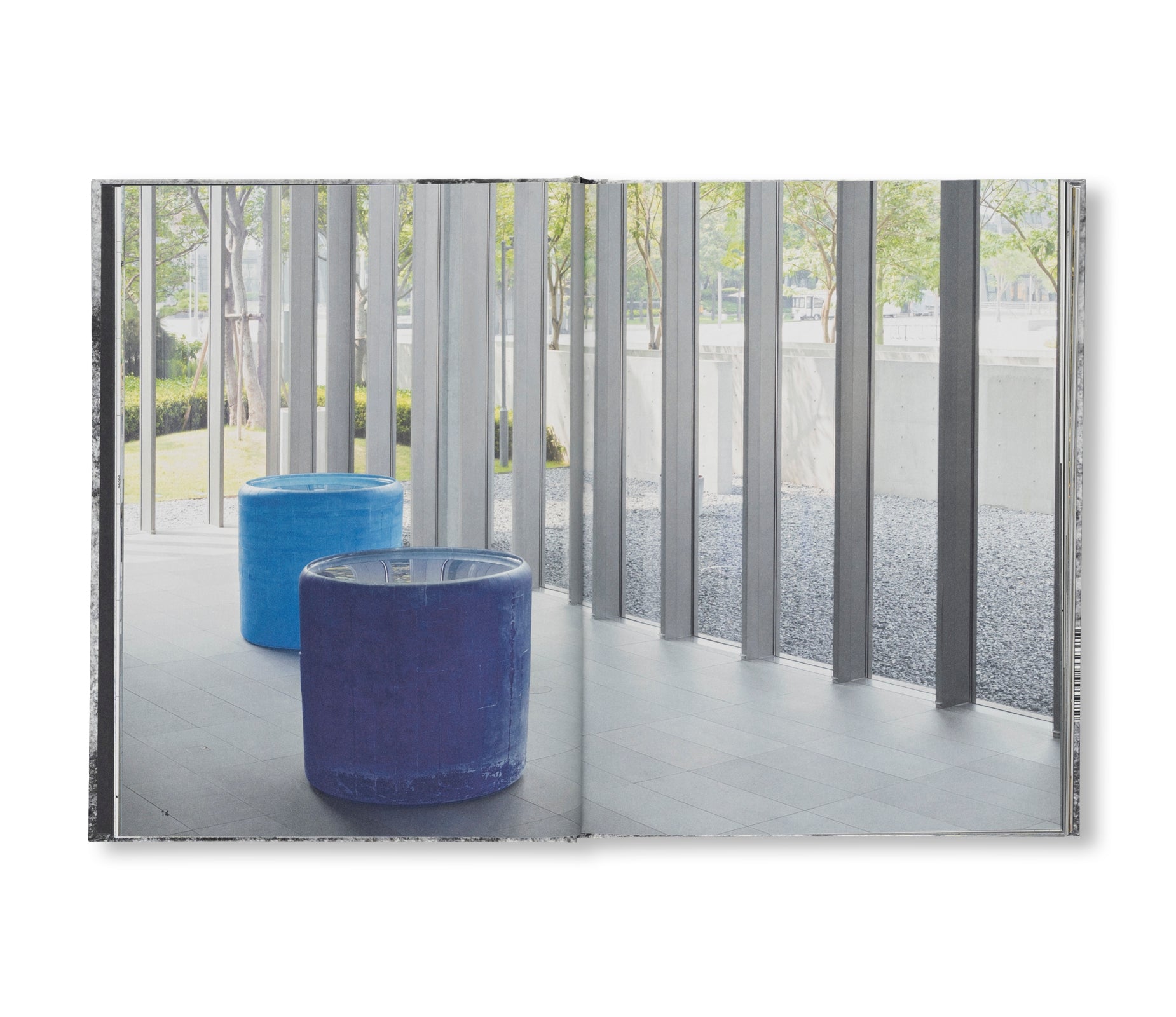 A DREAM NOT DREAMT by Roni Horn - Contemporary Art Book for Collectors & Art Lovers - Perfect for Home Decor, Gallery Displays & Gift Giving