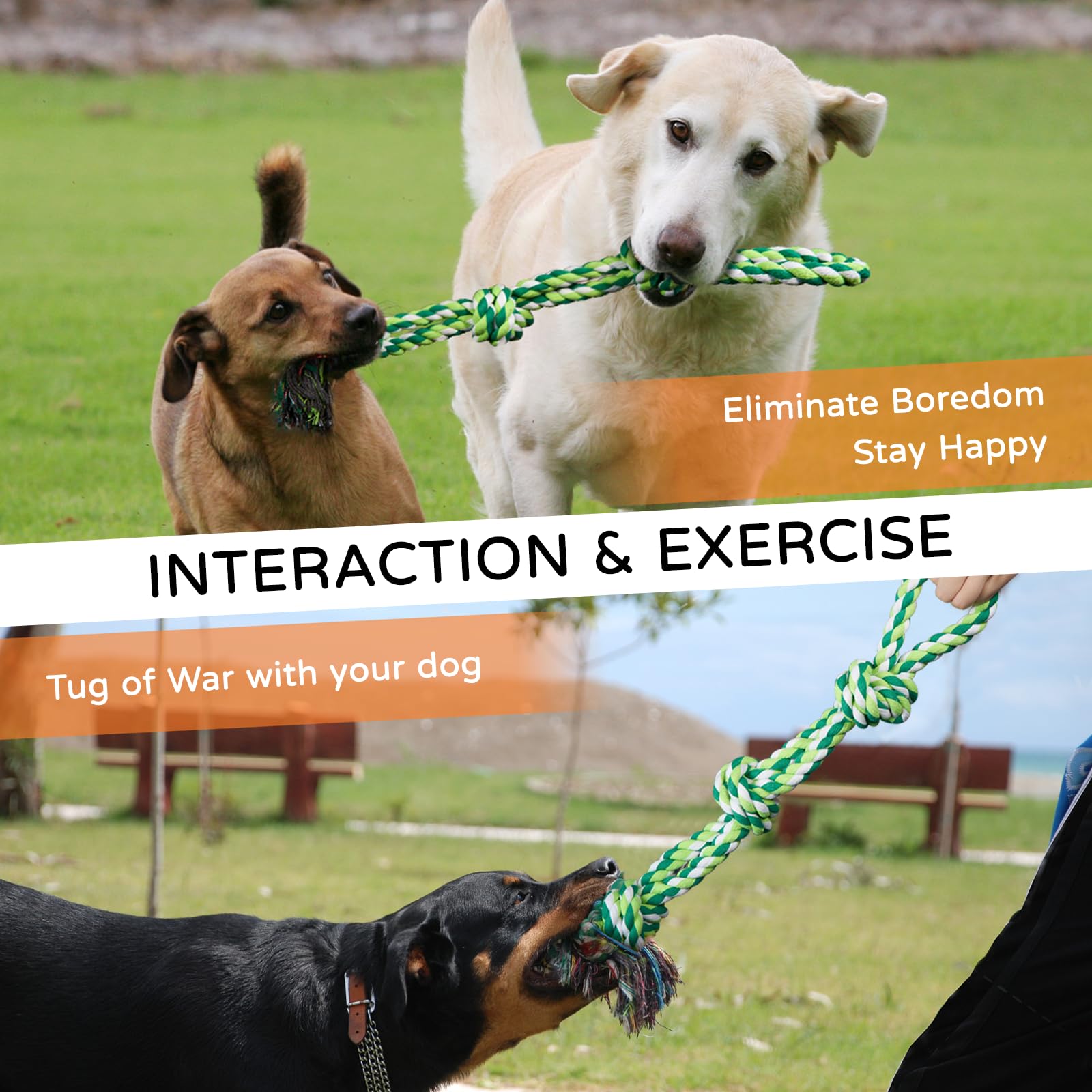2 Pack Durable Dog Rope Toys for Medium & Large Breeds - Nearly Indestructible Chew Toys for Aggressive Chewers, Teeth Cleaning & Tug of War Play - Perfect for Boredom Relief & Interactive Playtime with Your Dog