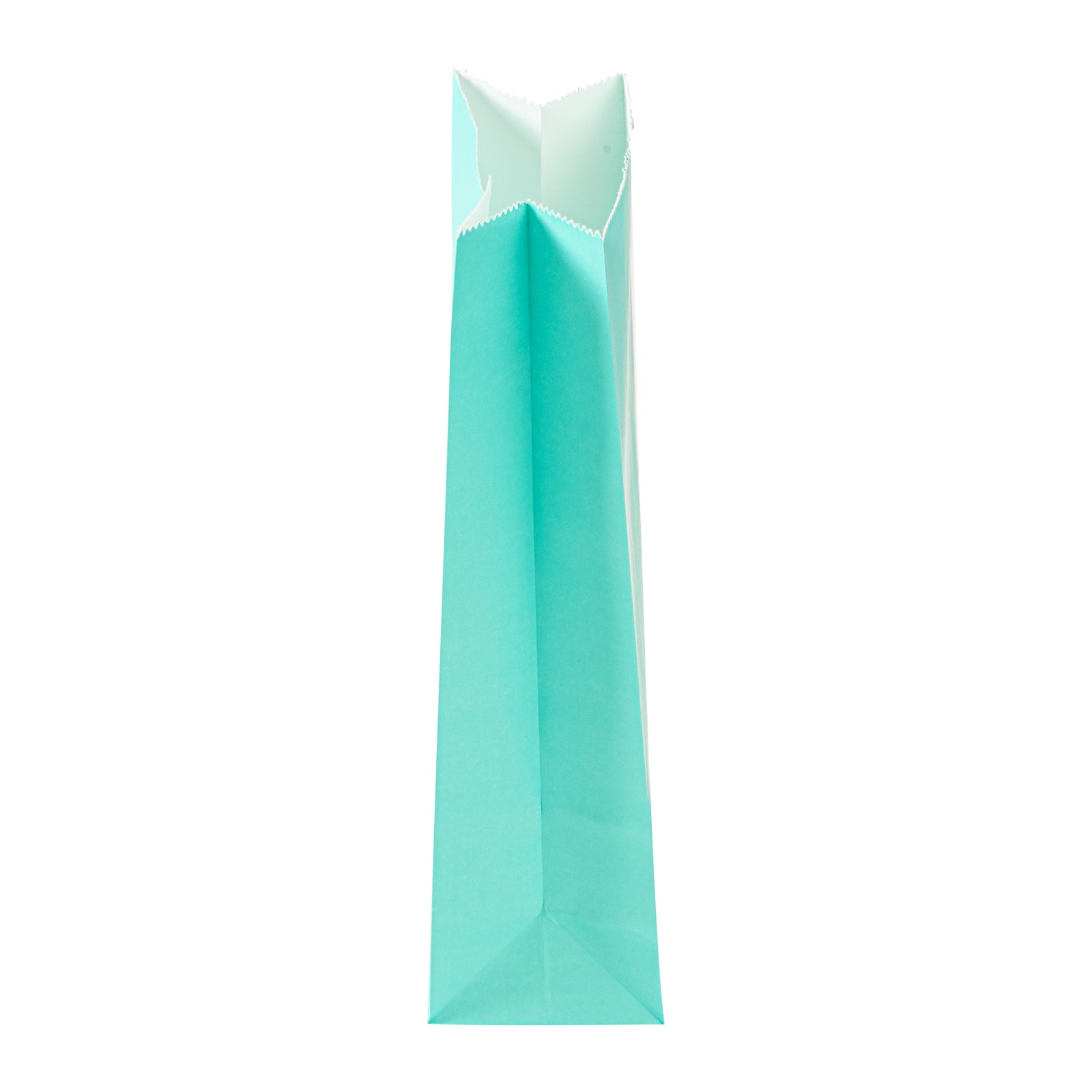 Premium Turquoise Paper Bags - 2 lb Capacity, 4.25