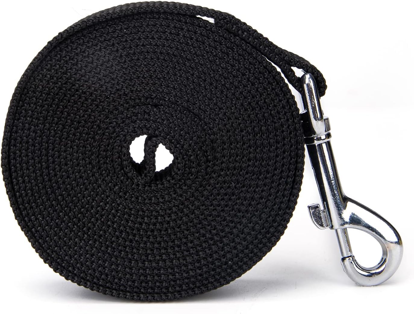 10 Feet Nylon Dog Leash for Small Medium Large Dogs - Durable Puppy Training Lead for Obedience Recall, Walking, Camping & Outdoor Adventures (Black)