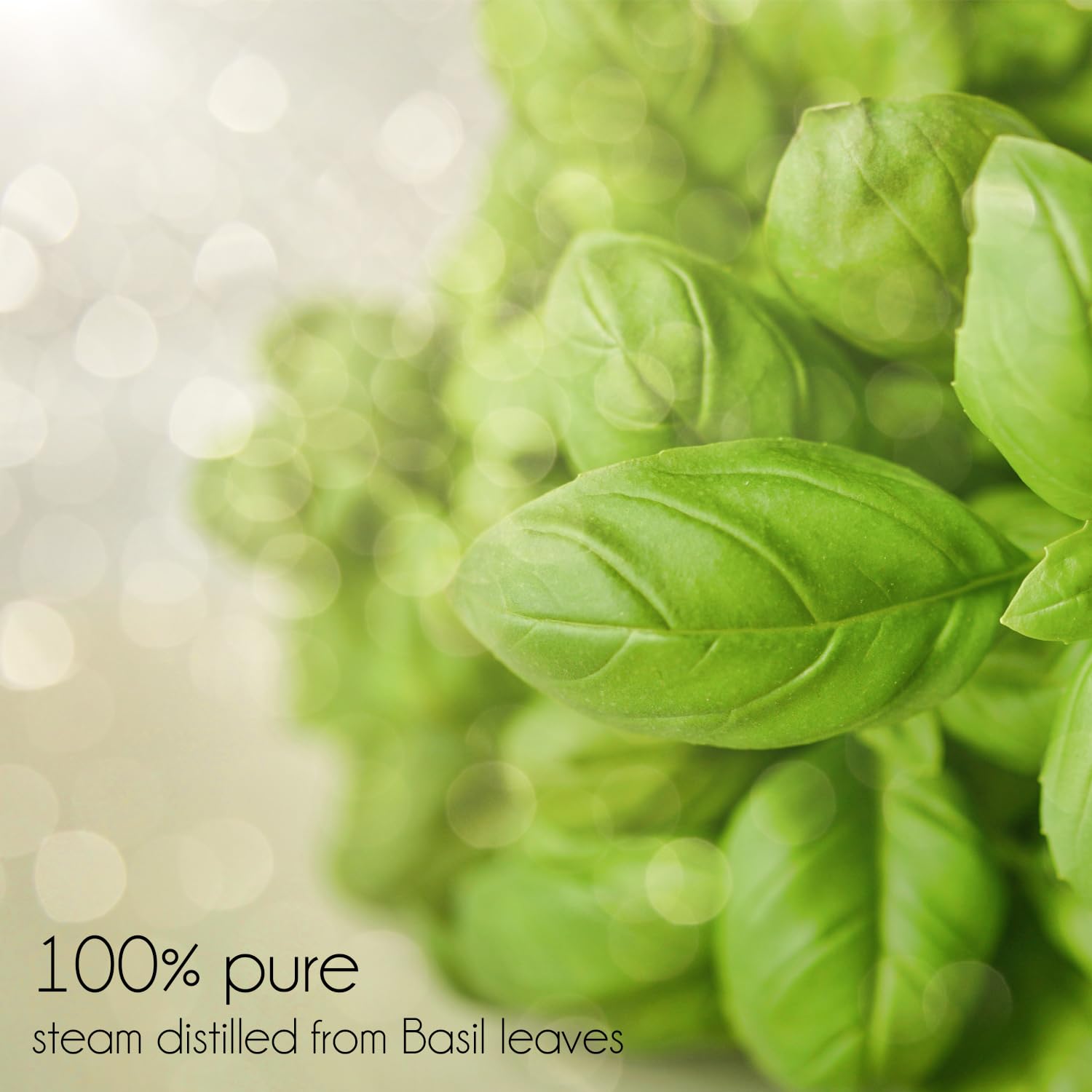 100% Pure Basil Essential Oil - 4 fl oz in Amber Glass Bottle with Cap - Aromatherapy, Stress Relief & Skin Care - Perfect for Diffusers, Massage & DIY Beauty Products