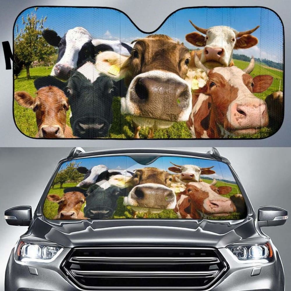 Car Windshield Sun Shade for Auto Sun Protection - Universal Fit 13
