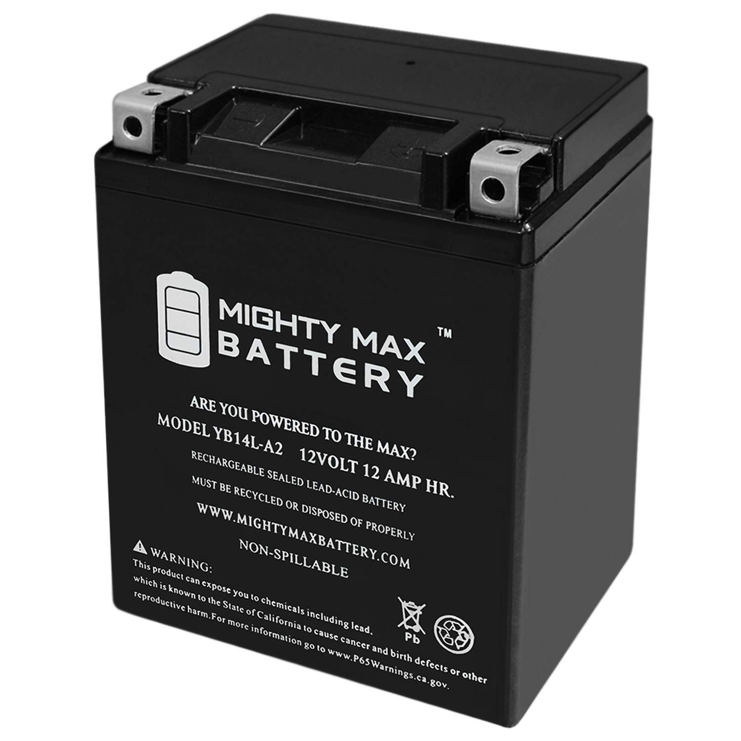 Mighty Max YB14L-A2 12V 12Ah Replacement Battery for MTD 300 400 Riding Lawn Mowers - Power Your Yard Work with Reliable Starting Performance