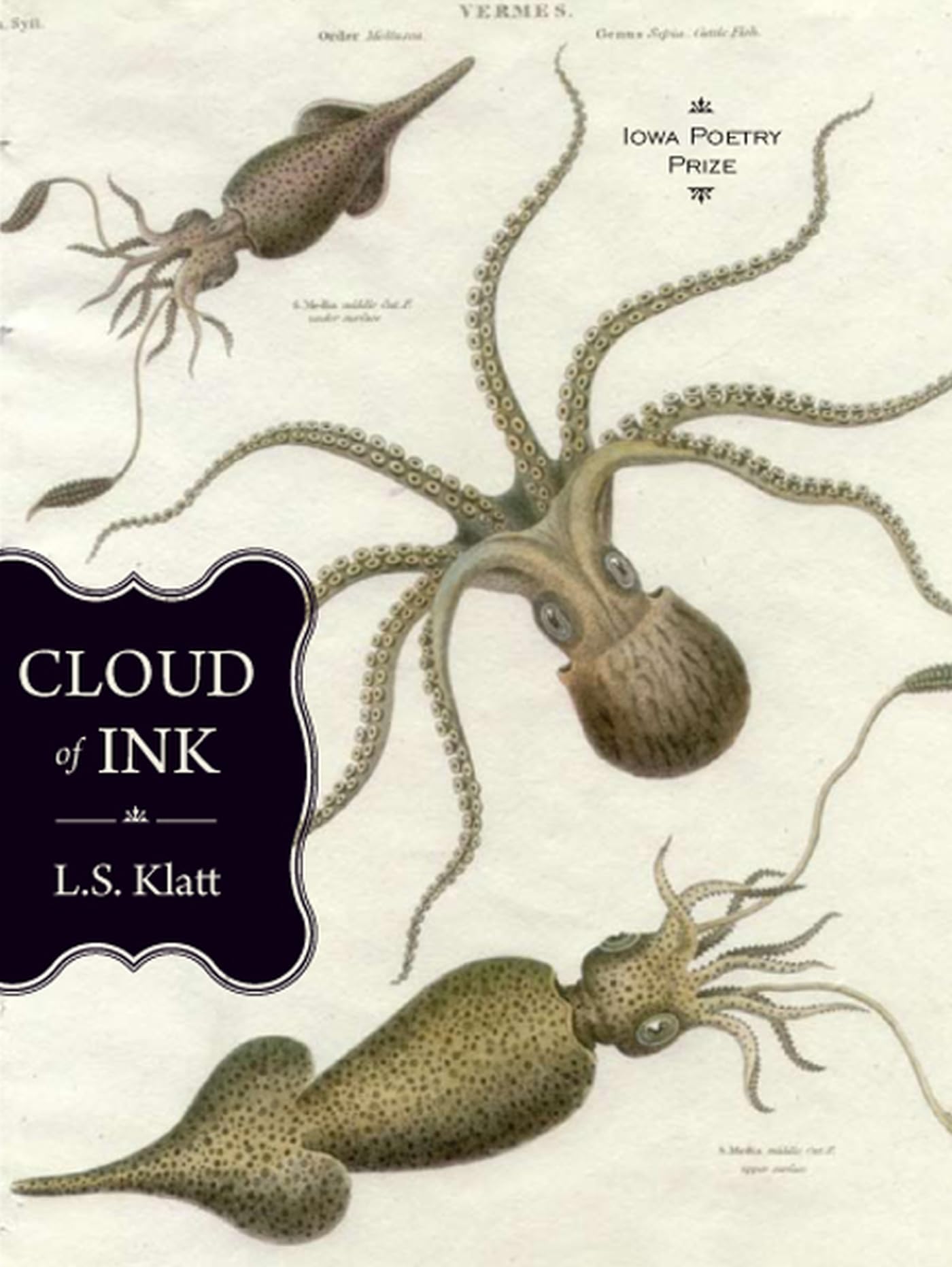 Cloud of Ink (Iowa Poetry Prize) - Award-Winning Poetry Collection for Literature Lovers, Book Clubs & Gift Ideas