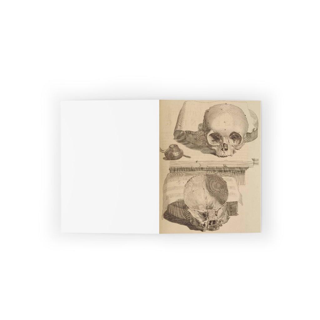 Bisected Human Skull Greeting Card Pack - 12 Unique Halloween Cards with Anatomical Design - Perfect for Halloween Parties, Medical Student Gifts & Dark Humor Enthusiasts