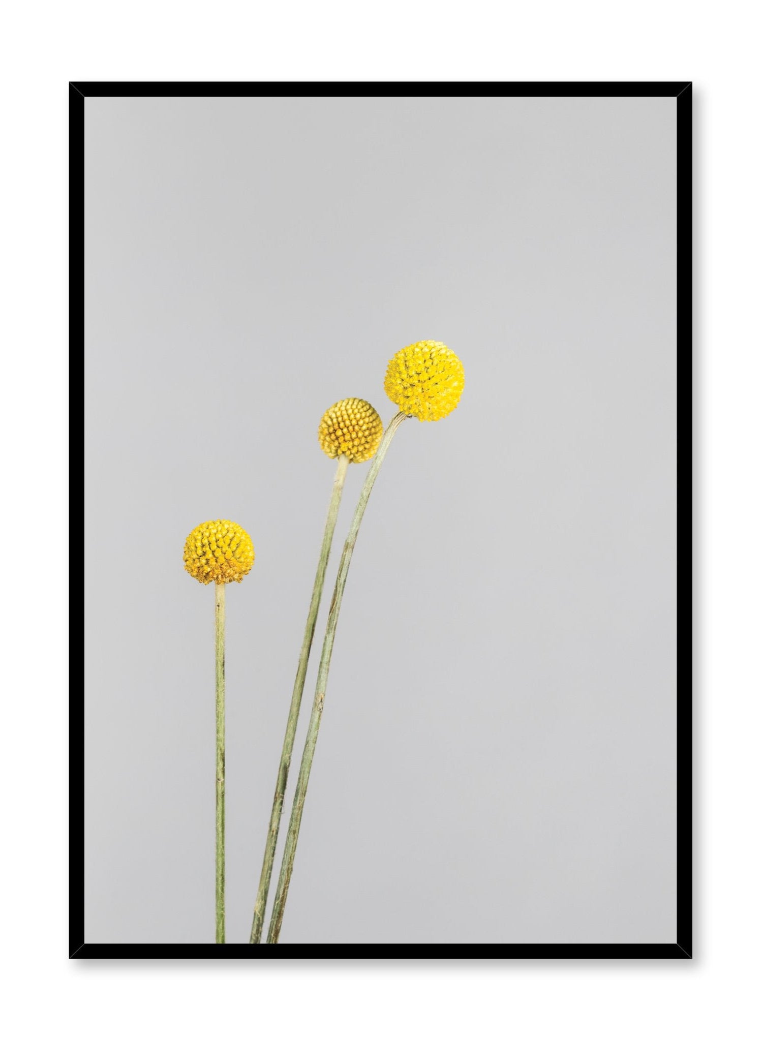 Billies Poster - High-Quality Wall Art for Home & Office Decor - Perfect for Living Room, Bedroom, or Gift Giving