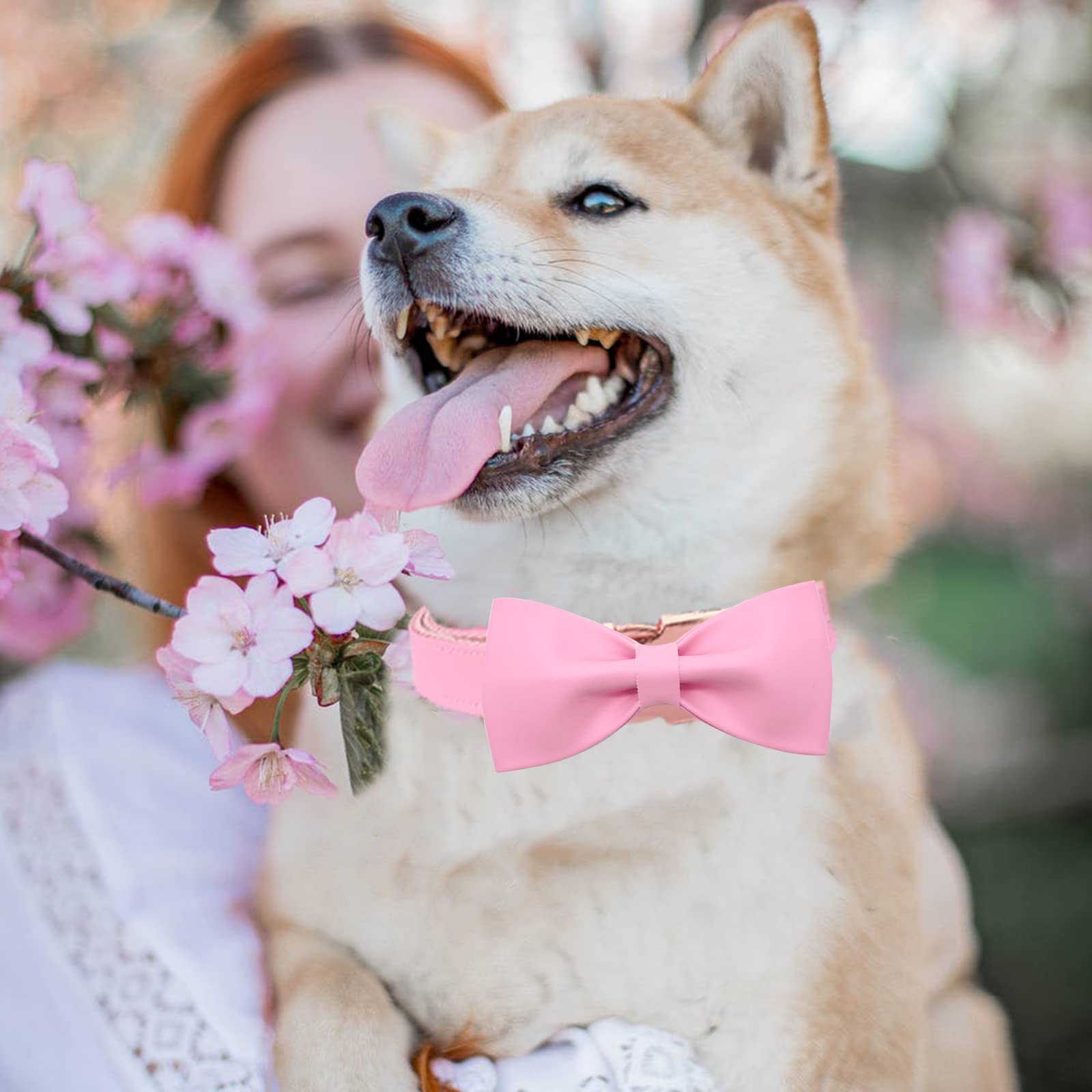 Premium Pink Leather Dog Collar with Elegant Bow - Adjustable Cute Bowtie Collar for Medium Size Dogs | Perfect for Daily Walks, Pet Photos & Special Occasions