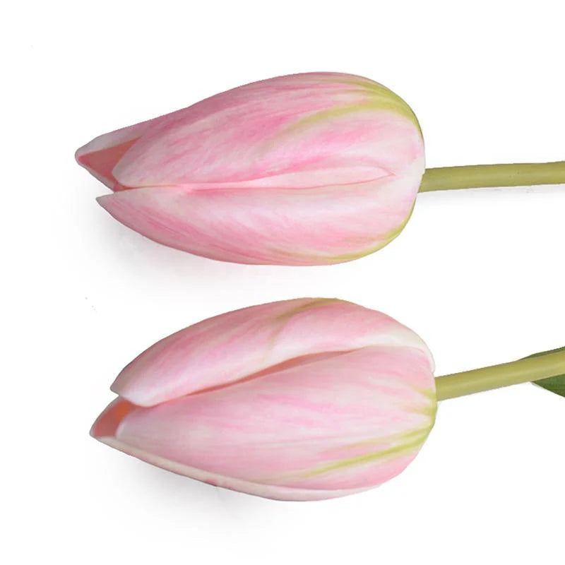 Premium Dutch Pink Tulip Stems - 24