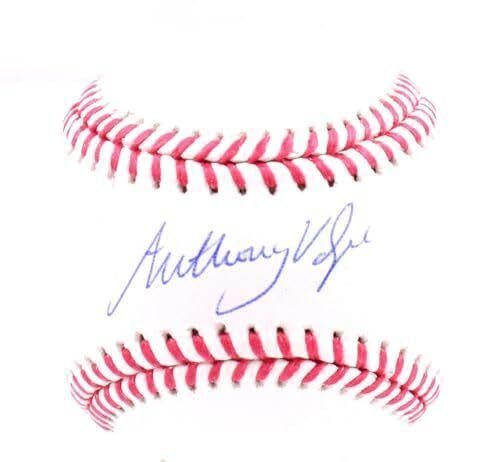 Anthony Volpe Autographed OML Baseball - Official MLB Licensed - Signed Collectible Baseball for Fans - Perfect for Display, Memorabilia Collections, and Yankees Gifts
