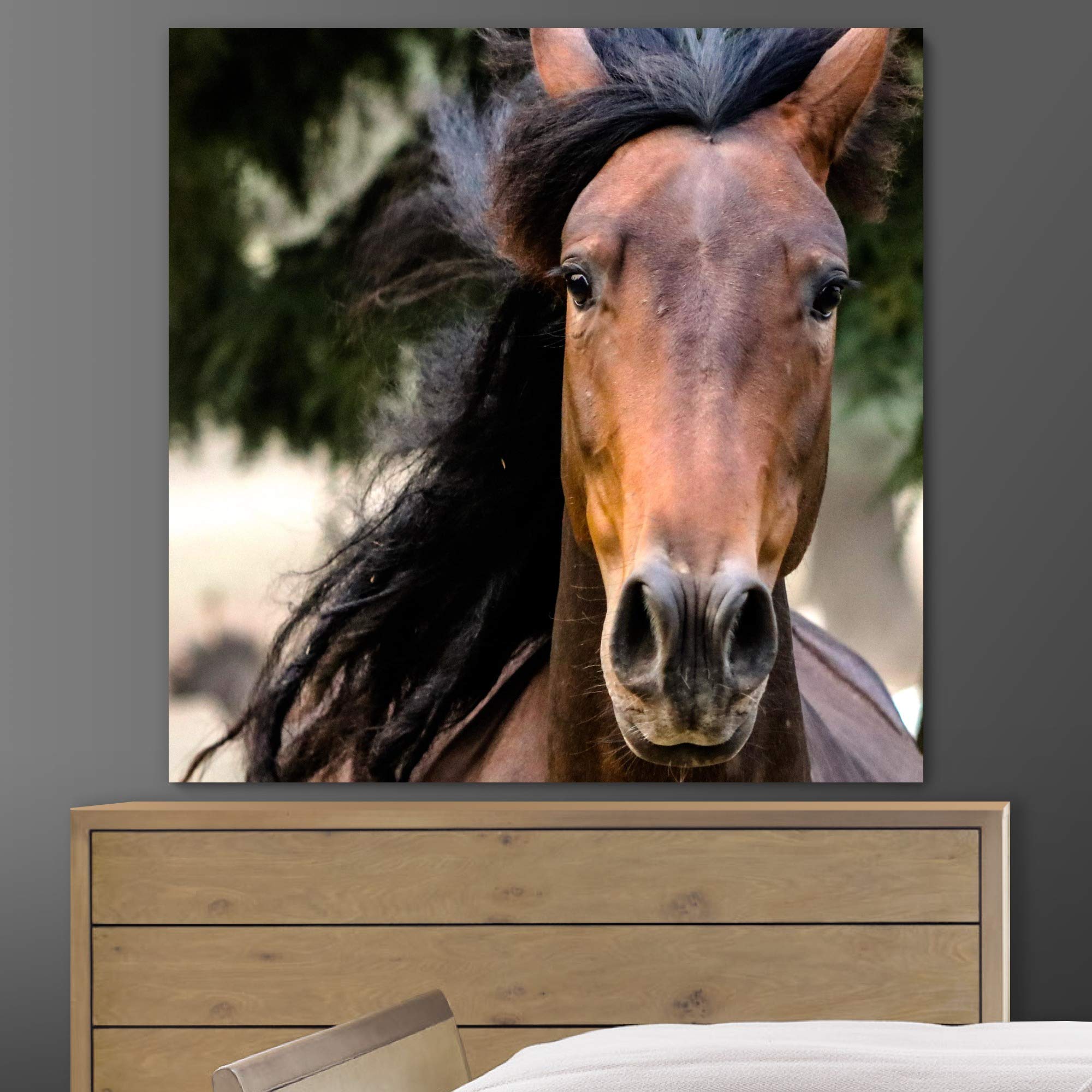 Premium Horse XI Animals Farmhouse Wall Art - 16x24 Inch Country Living Room Decor, Bedroom Photography Print, Ready to Hang | Perfect for Western Home Decor & Equestrian Gifts