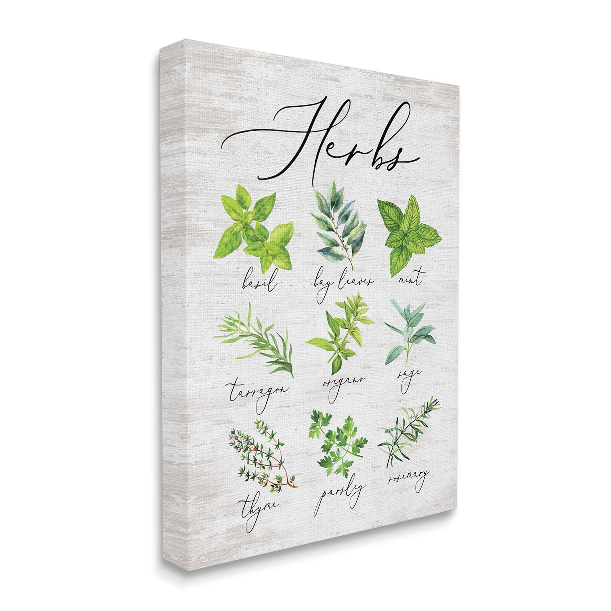 Stupell Industries Kitchen Herb Reference Chart - Garden Fresh Home Seasoning Wall Art - 16 x 20 Green Canvas - Designed by Lettered and Lined | Perfect for Kitchen Decor, Cooking Reference & Herb Garden Inspiration
