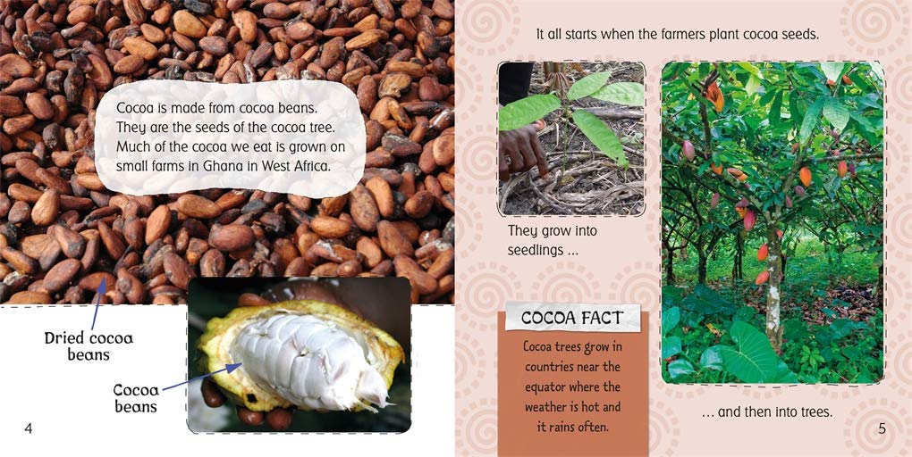 Premium Beans to Chocolate - Homemade for Baking & Gifting