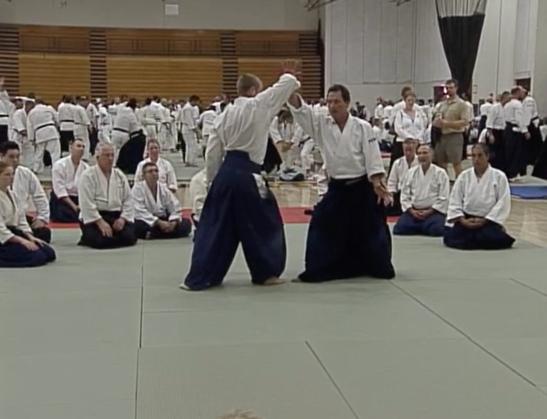 Aikido Odyssey DVD by Christian Tissier - Master Aikido Techniques & Training | Perfect for Martial Arts Enthusiasts & Home Practice