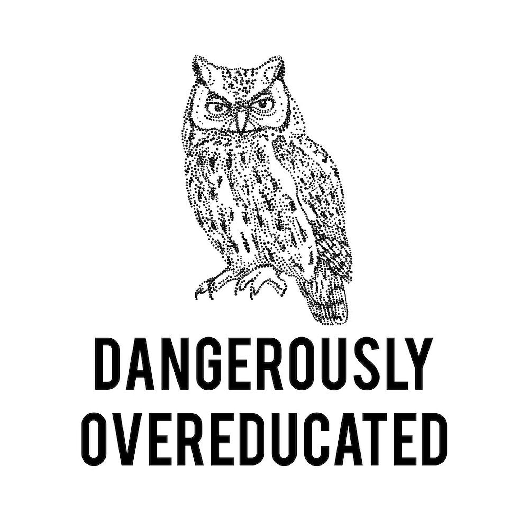 Dangerously Overeducated 11 oz Ceramic Coffee Mug (325 ml) - Funny Novelty Gift for Teachers, Professors & Book Lovers - Perfect for Office, Classroom & Home Use