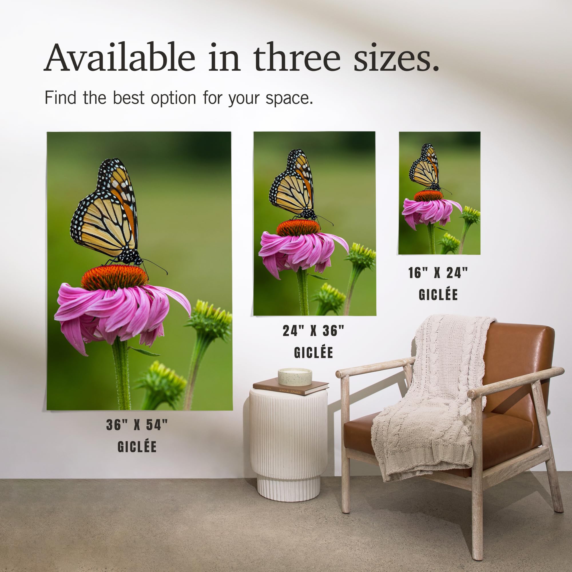 Lantern Press 16x24 Inch Giclee Art Print - Monarch Butterfly and Flower Wall Decor for Living Room, Bedroom & Office | Premium Canvas Painting for Home Decoration