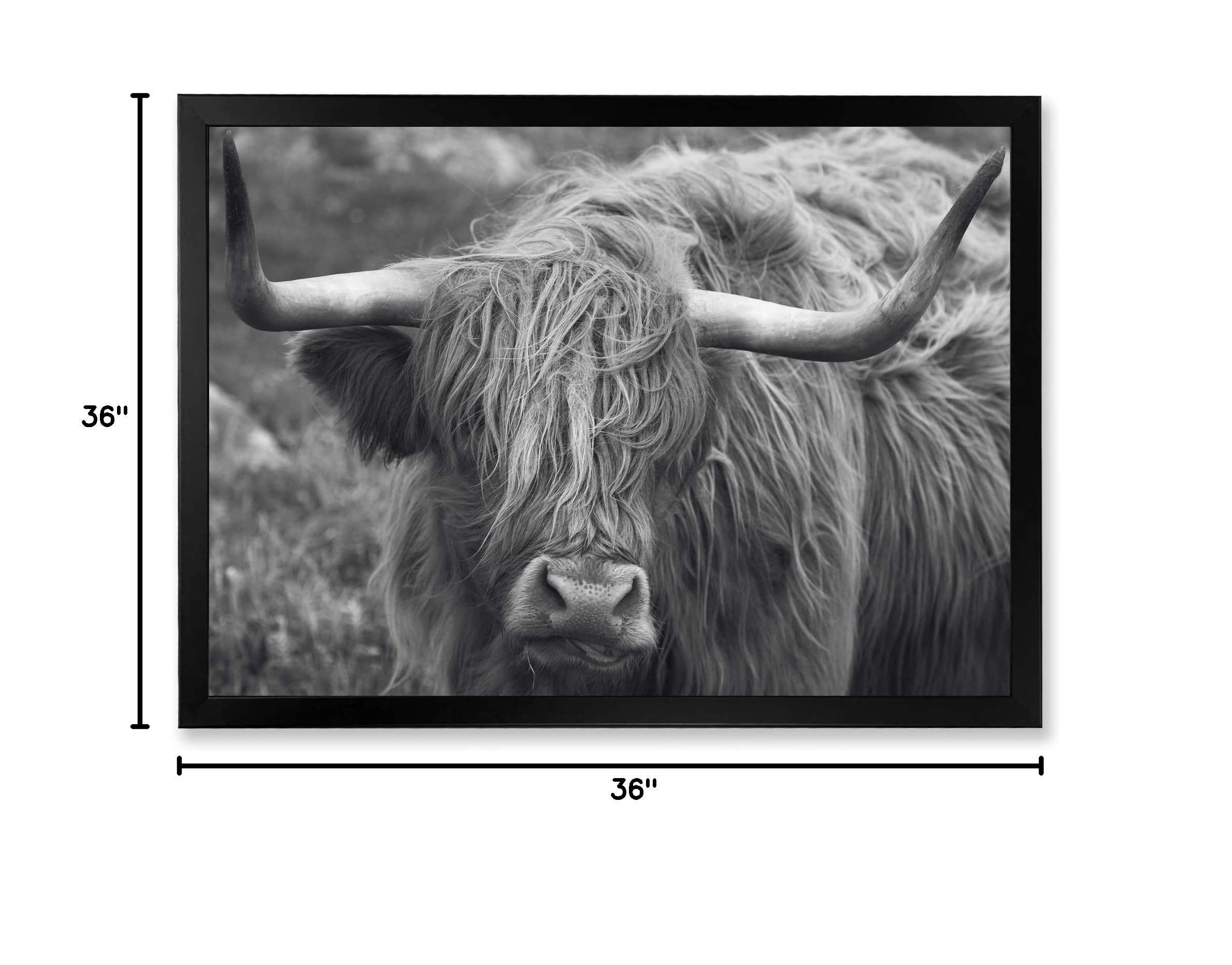 Scottish Highland Cow on Moorland - Farmhouse Framed Wall Art Decor for Living Room, Bedroom & Office