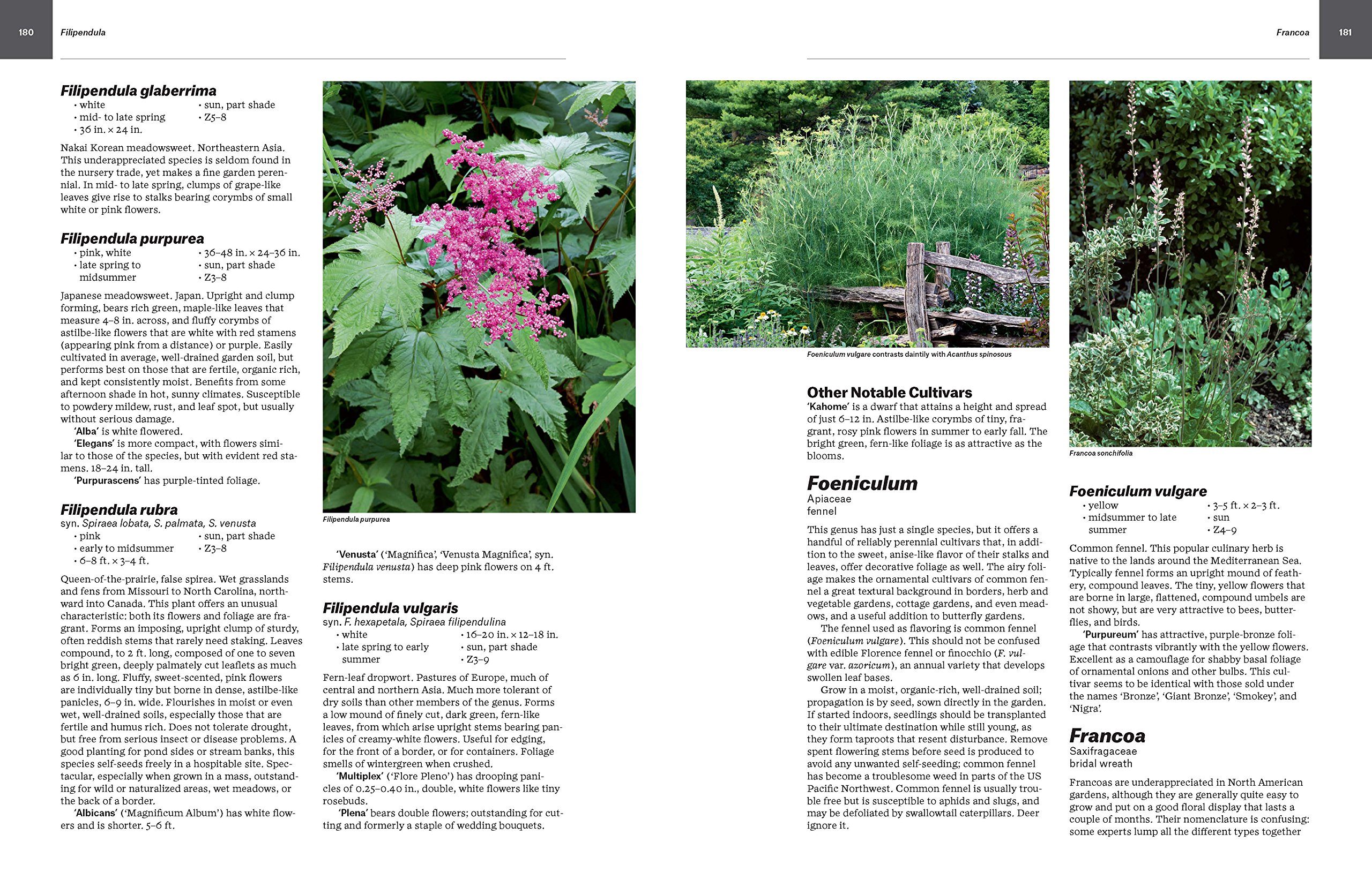 2700 Essential Perennials for Home Gardens | Complete Perennial Flower Guide | Perfect for Landscaping, Backyard Gardening & Outdoor Decor