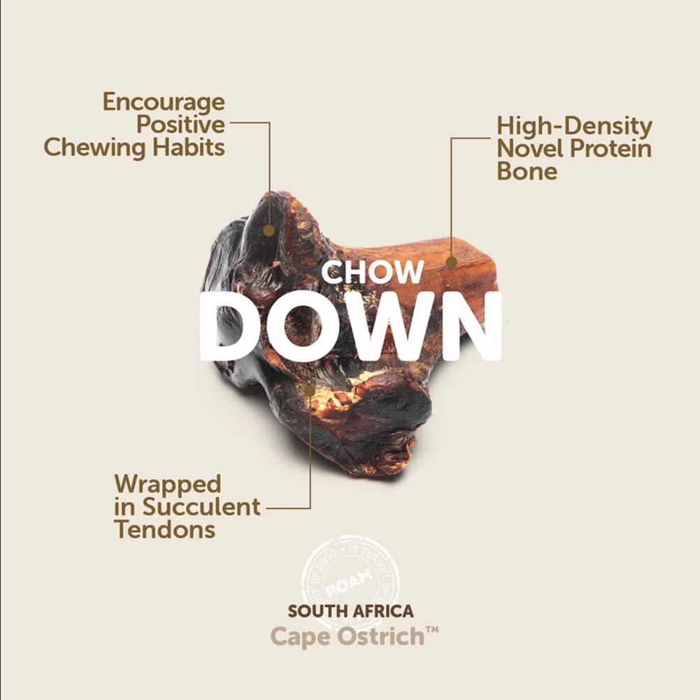 ROAM Pet Treats Large Ostrich Knuckle Dog Chew - Natural, Long-Lasting, High-Protein Treat for Medium to Large Dogs - 10.2oz (3-Pack) - Perfect for Training, Dental Health & Anxiety Relief