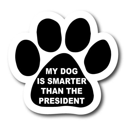 Dog Smart