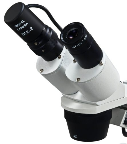 OMAX 20X-40X-80X Digital Binocular Stereo Microscope with Dual LED Illumination & USB Camera - Perfect for Coin Collecting, Jewelry Inspection, and Electronics Repair