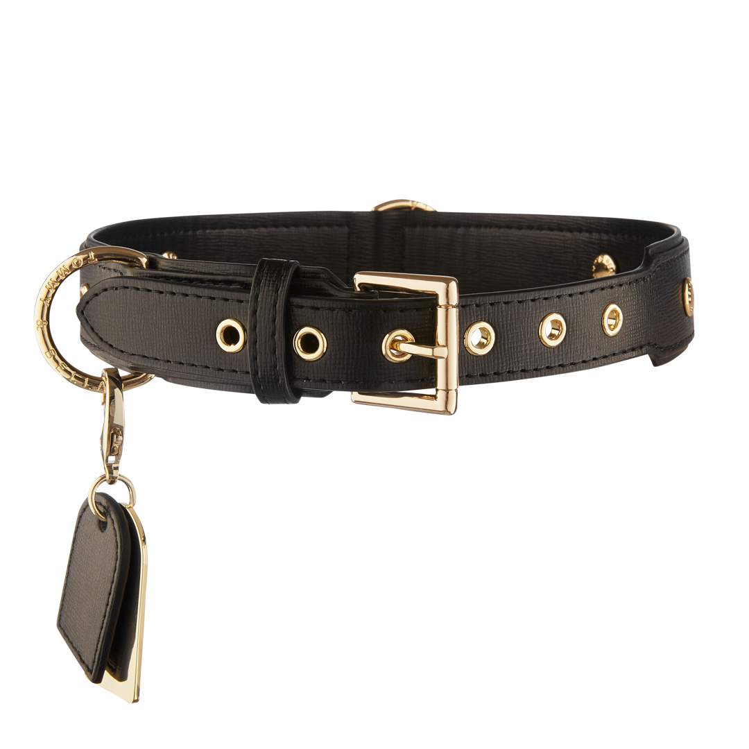 Premium Black Dog Collar for Small & Large Dogs - Durable & Adjustable Pet Collar for Walking, Training & Outdoor Adventures