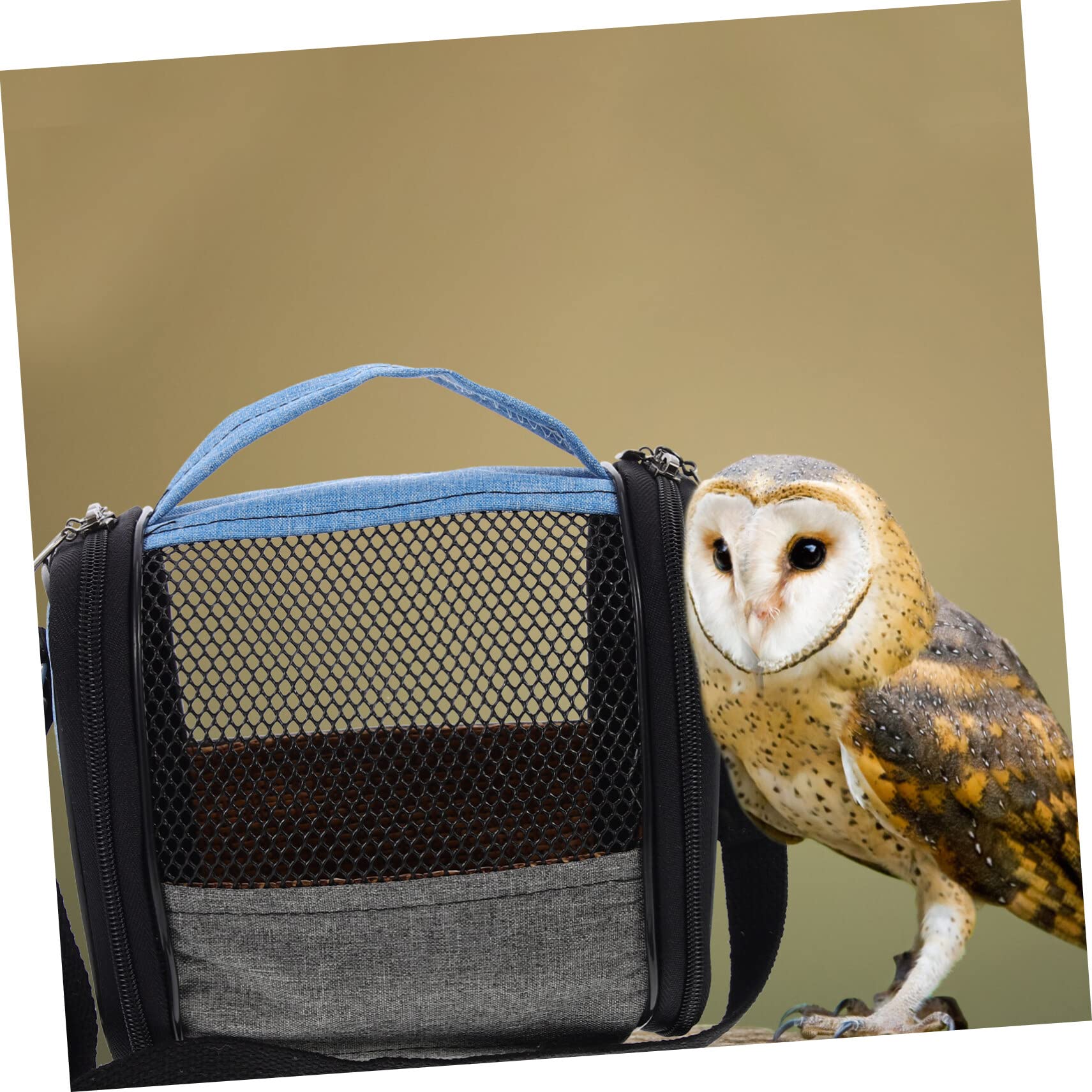 5pcs Transparent Parrot Carrier Backpack for Cockatiels & Hamsters - Outdoor Travel & Cage Accessories